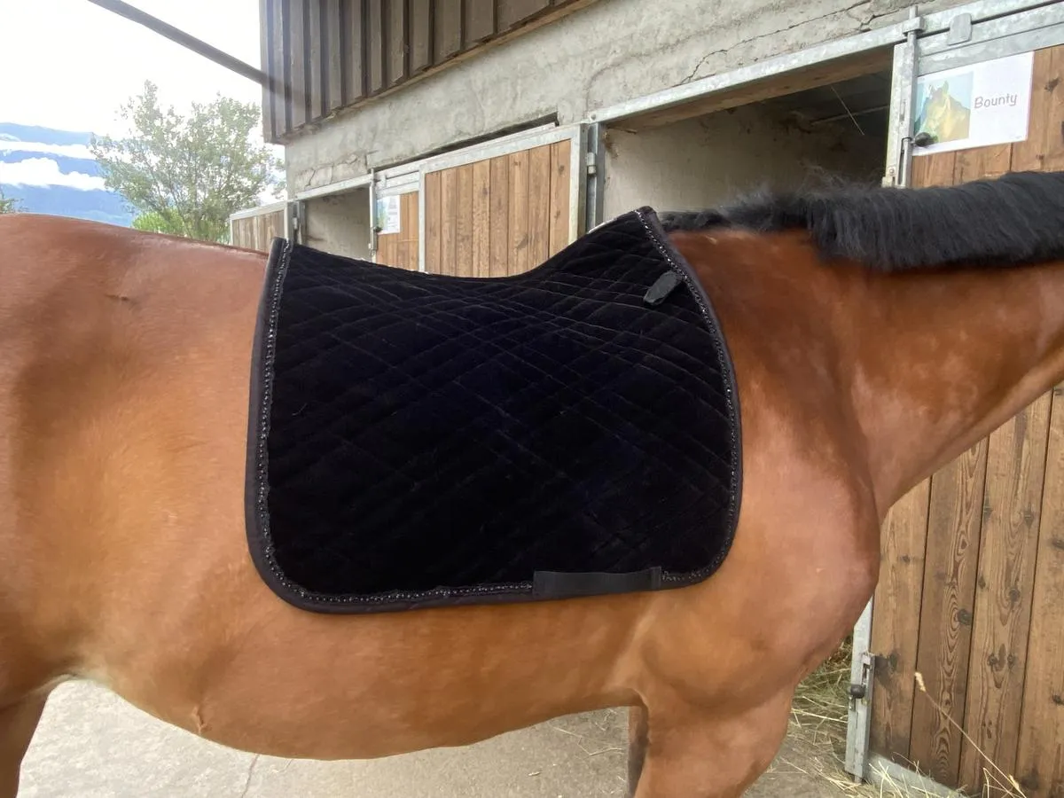 Ensemble bonnet et tapis