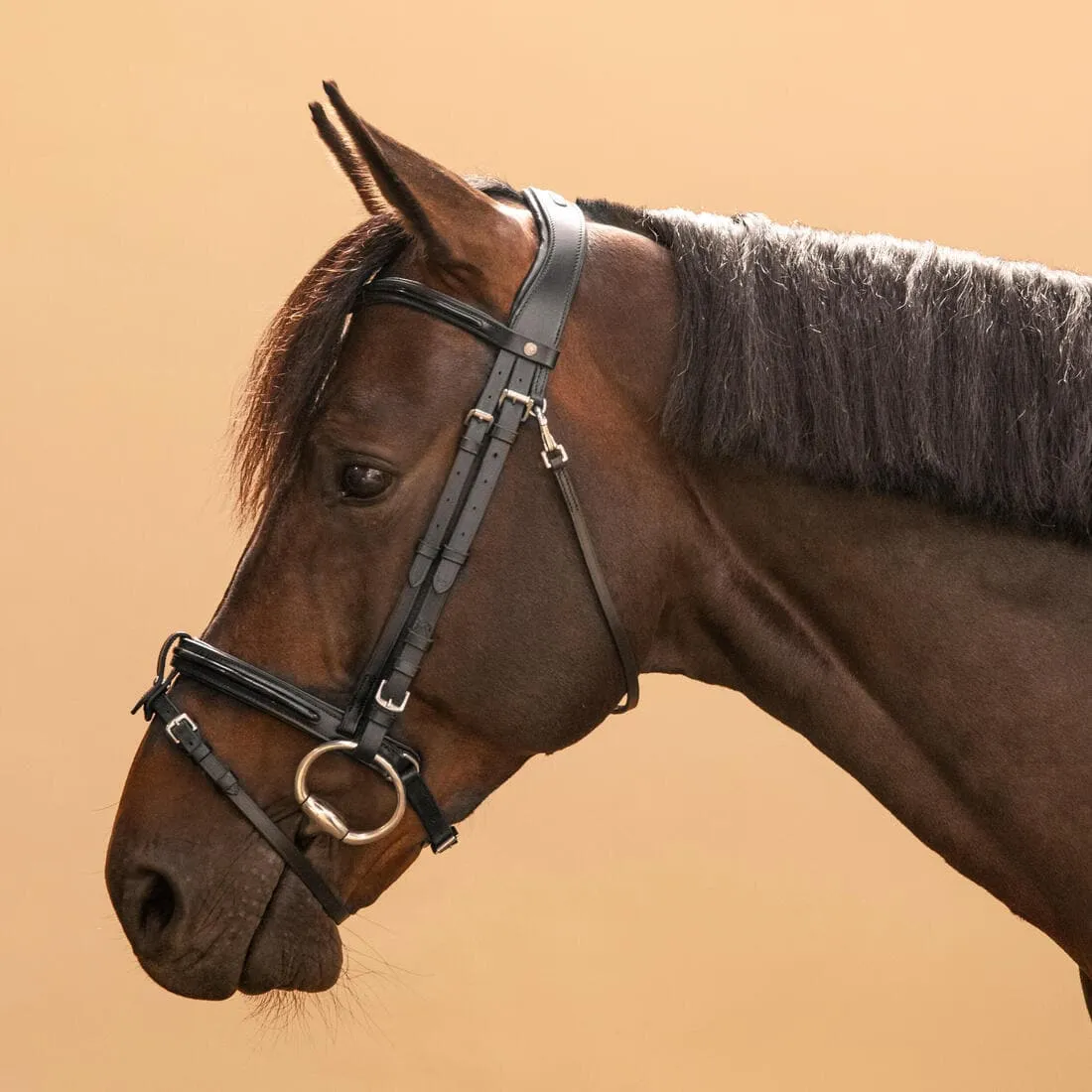 Filet équitation cuir muserolle franaise glossy Cheval et Poney - 580